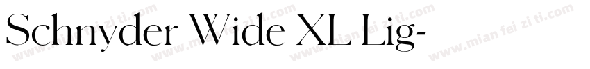Schnyder Wide XL Lig字体转换